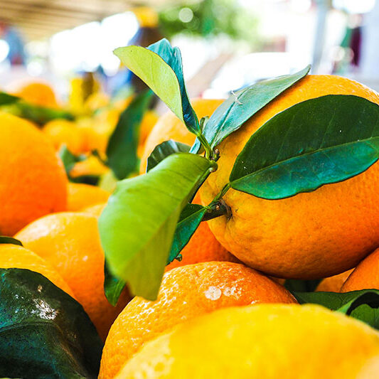 sweet-orange
